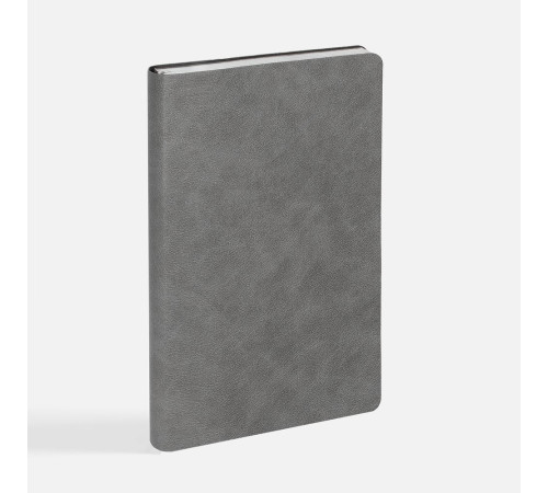 Ежедневник Petrus, недатированный, серый