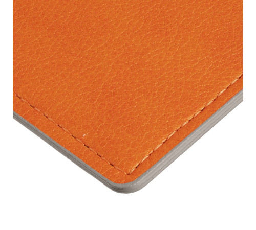 Обложка для паспорта Petrus, оранжевая