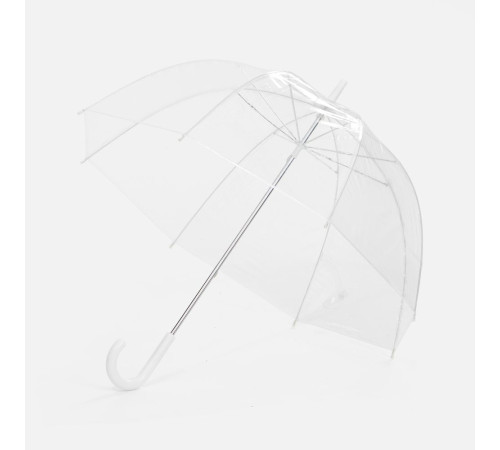 Прозрачный зонт-трость Clear