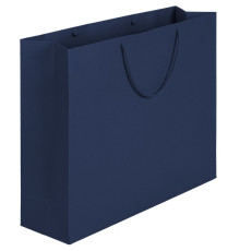 Пакет бумажный Ample Plus L, синий