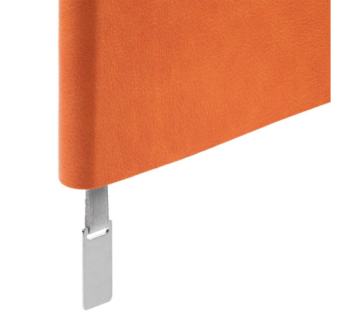 Ежедневник Petrus, недатированный, оранжевый