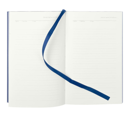 Ежедневник Flat Mini, недатированный, синий