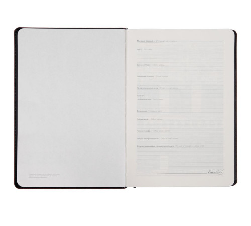 Ежедневник Alanis, недатированный, черный с фиолетовым