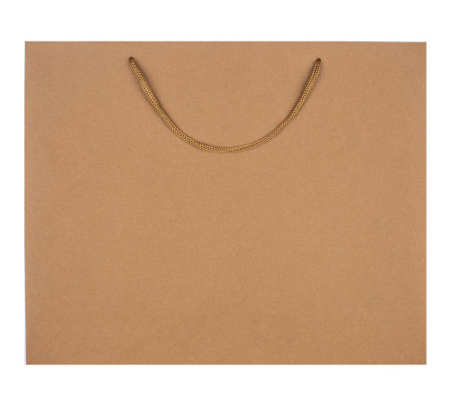 Пакет бумажный Plat L, крафт