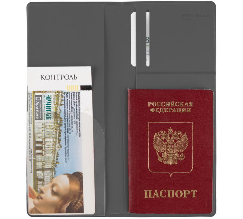 Дорожный органайзер Dorset, серый