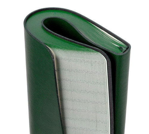 Ежедневник Neat Mini, недатированный, зеленый