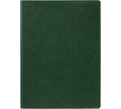 Ежедневник в суперобложке Brave Book, недатированный, зеленый