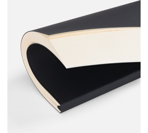 Ежедневник Flat Light, недатированный, черный