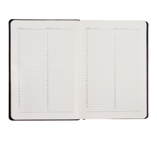 Ежедневник Alanis, недатированный, черный с фиолетовым