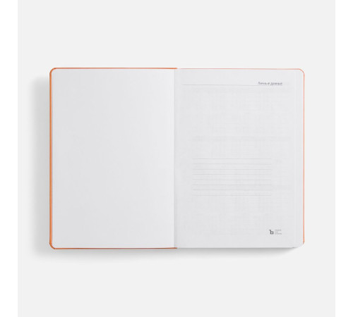 Ежедневник Basis, датированный, оранжевый