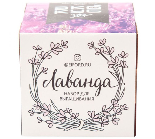 Набор для выращивания «Экокуб Lite», лаванда
