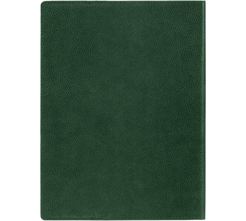 Ежедневник в суперобложке Brave Book, недатированный, зеленый