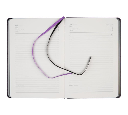 Ежедневник Alanis, недатированный, черный с фиолетовым
