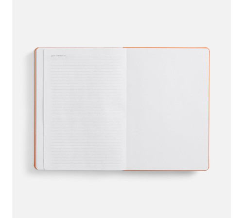 Ежедневник Basis, датированный, оранжевый