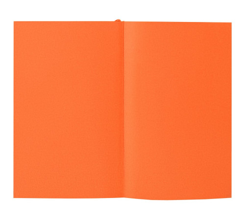 Ежедневник Flat Mini, недатированный, оранжевый