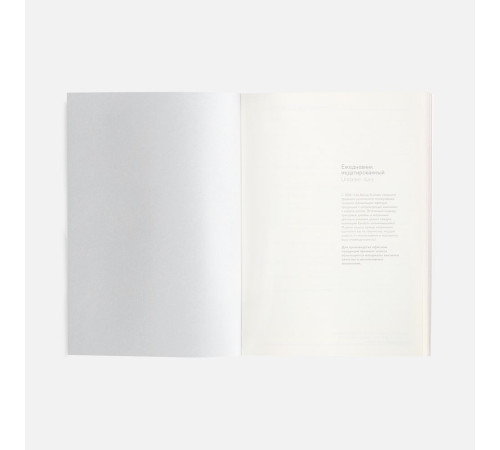 Ежедневник Repute, недатированный, красный