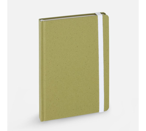 Блокнот Lactonica, зеленый