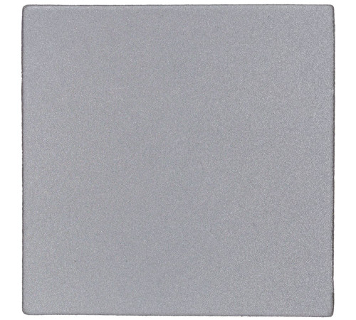 Лейбл светоотражающий Tao, L, серый