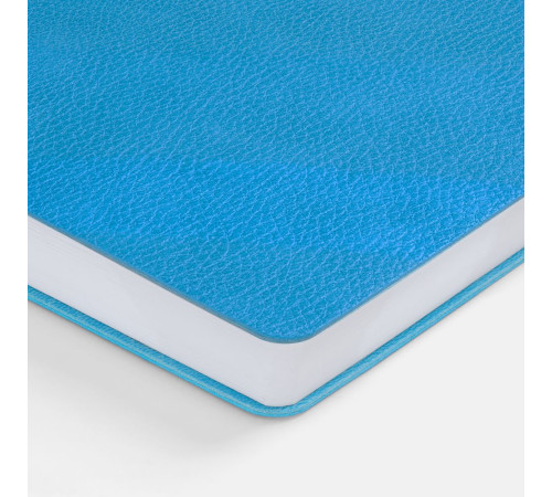 Ежедневник Lafite, недатированный, голубой