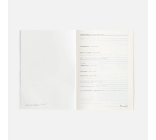 Ежедневник Repute, недатированный, красный