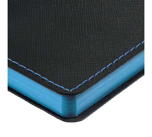 Ежедневник Nice Twice, недатированный, черный с голубым