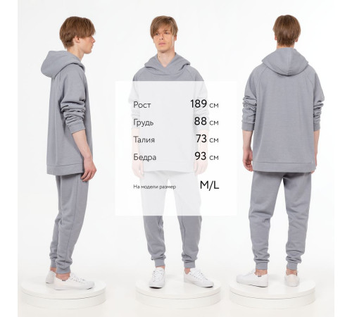 Джоггеры J2, серые