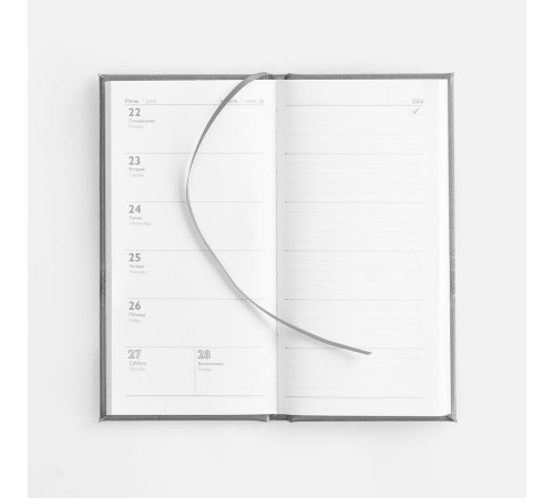 Еженедельник Baza, датированный, серый