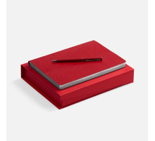 Набор Nebraska Flex, красный с серебристым