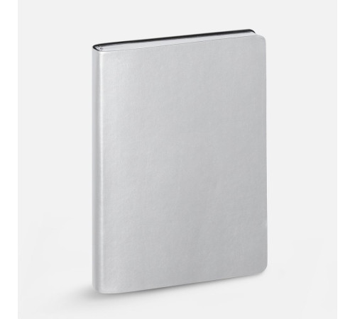 Ежедневник Nebraska Flex, недатированный, серебристый