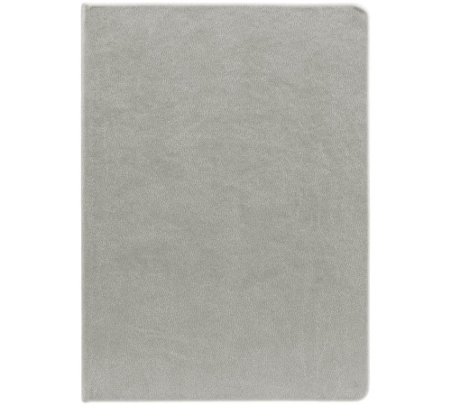 Ежедневник New Latte, недатированный, серый