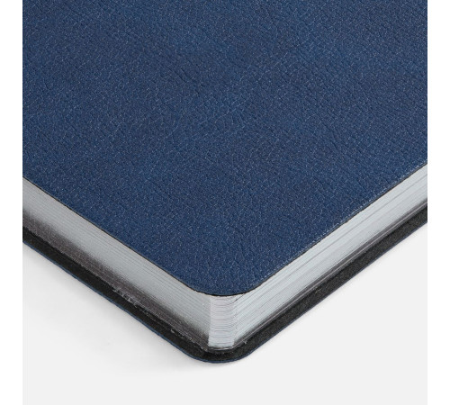 Ежедневник Petrus, недатированный, синий