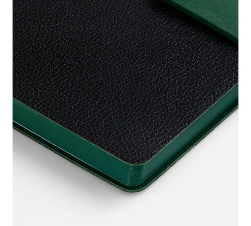 Ежедневник Boom, недатированный, черный с зеленым