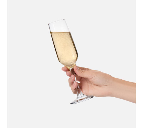 Бокал для шампанского Isabella