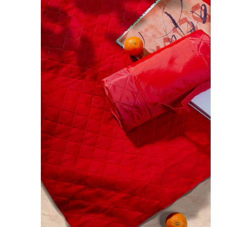 Плед для пикника Comfy, красный