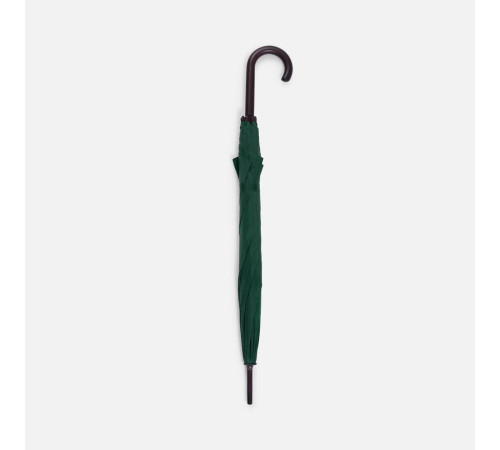 Зонт-трость Standard, зеленый