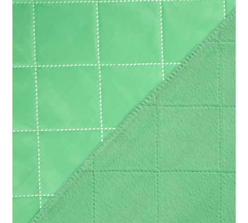 Плед для пикника Soft & Dry 2, светло-зеленый