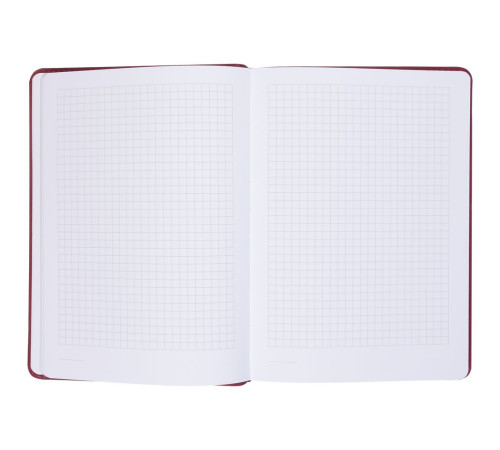 Ежедневник Termini, недатированный, темно-красный