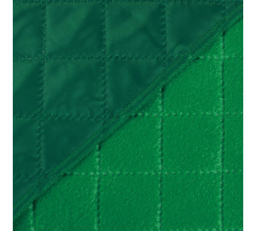 Плед для пикника Comfy, зеленый