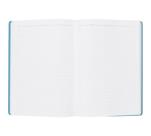 Ежедневник Flexpen, недатированный, серебристо-бирюзовый