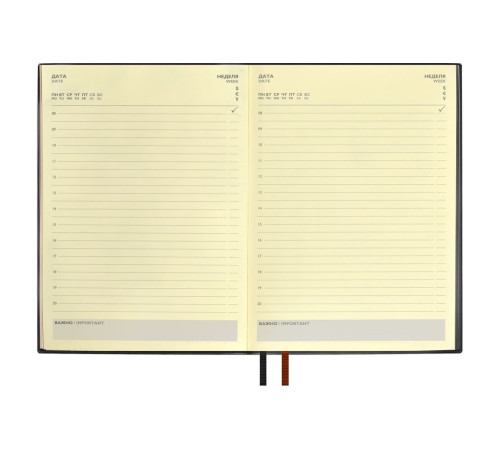 Ежедневник Avila, недатированный, черный