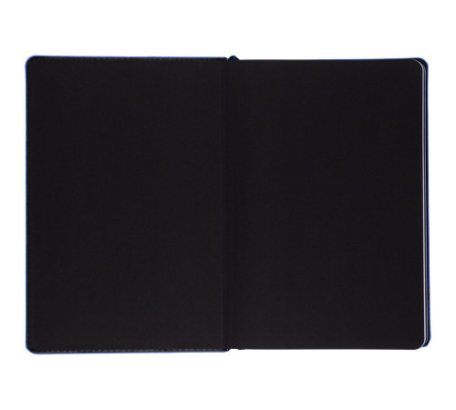 Ежедневник Alanis, недатированный, черный с синим