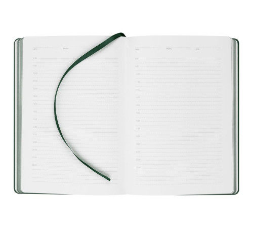 Ежедневник New Factor Metal, зеленый