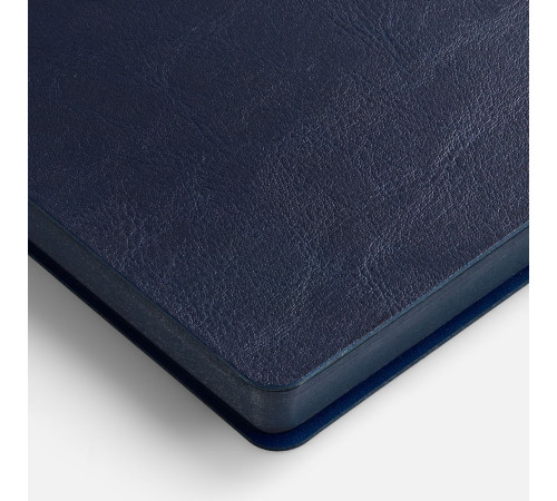 Ежедневник Doppio, недатированный, синий