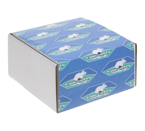 Набор «Мышка на севере»