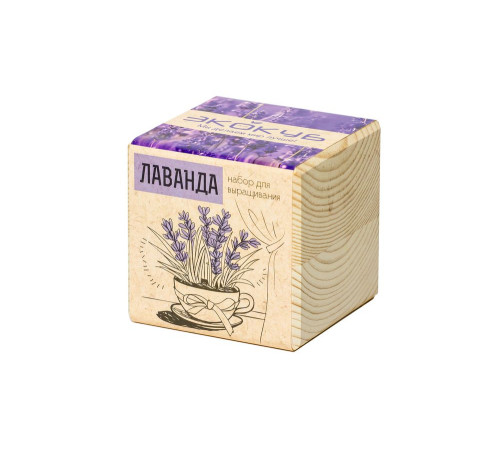 Набор для выращивания «Экокуб», лаванда