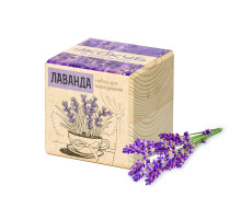 Набор для выращивания «Экокуб», лаванда