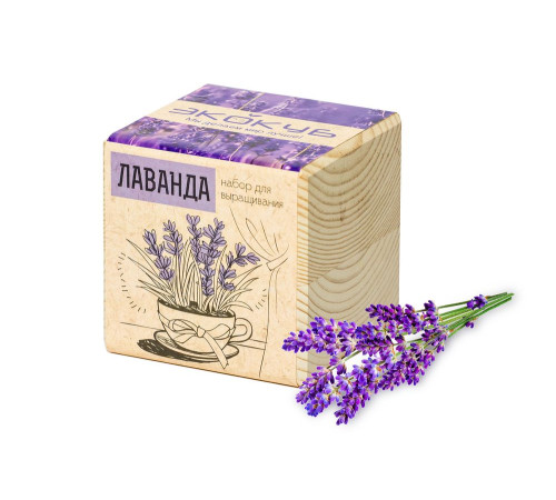 Набор для выращивания «Экокуб», лаванда