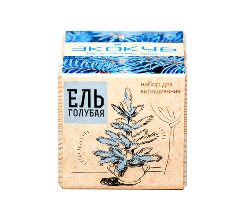 Набор для выращивания «Экокуб», ель голубая