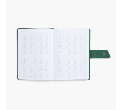 Ежедневник Boom, недатированный, черный с зеленым