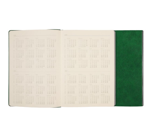 Ежедневник Petrus Flap, недатированный, зеленый